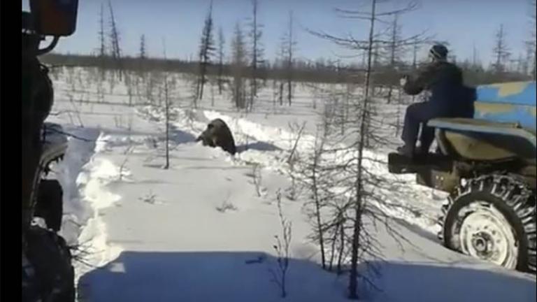 Έρευνα των Ρωσικών Αρχών για νταλικέρηδες που κυνήγησαν και πάτησαν επίτηδες μία αρκούδα! (ΒΙΝΤΕΟ)
