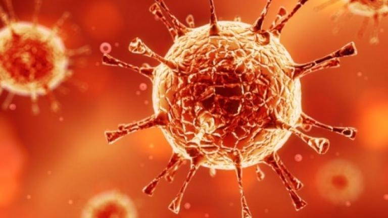 Βρέθηκαν αντισώματα που εξουδετερώνουν τον ιό Ζίκα