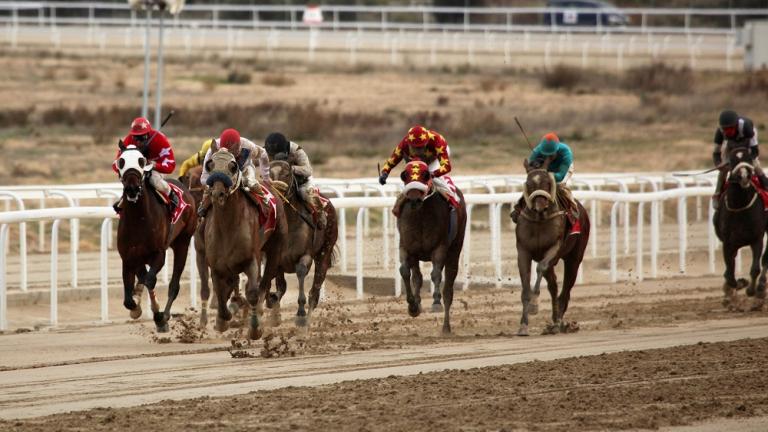  Υψηλό θέαμα και αυτό το Σάββατο στο Μαρκόπουλο από την Ιπποδρομίες ΑΕ 