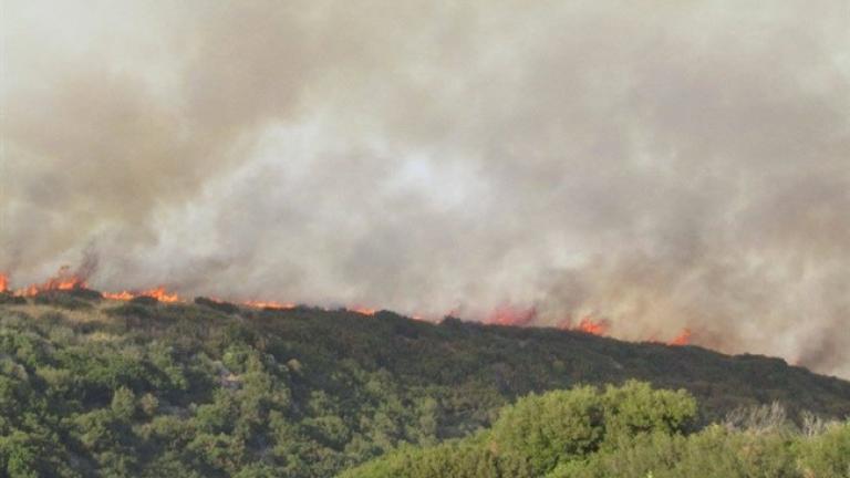 Ιωάννινα: Συναγερμός από ανεξέλεγκτη φωτιά κοντά στην Πανεπιστημιούπολη