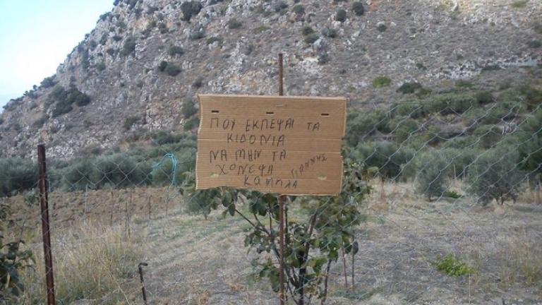 19 Κρητικές πινακίδες...απείρου κάλλους