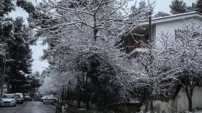 ΚΑΙΡΟΣ 27/1/2017: Χιόνια, κρύο και παγετός