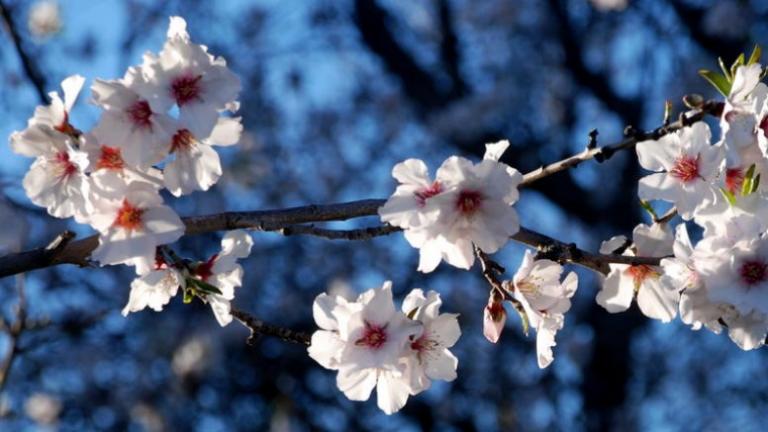 ΚΑΙΡΟΣ 18/3/2019: Αίθριος καιρός και άνοδος της θερμοκρασίας