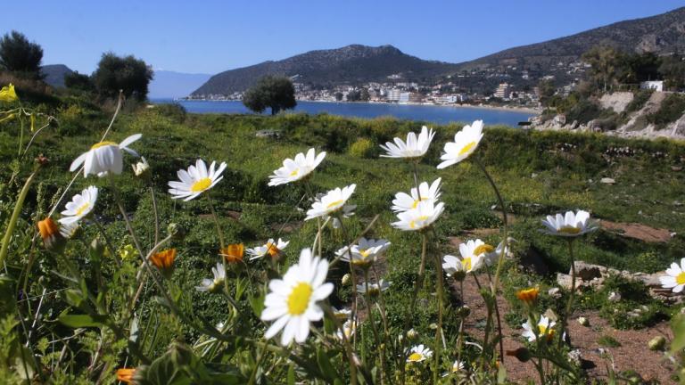 Ο καιρός την 25η Μαρτίου: Ήλιος και ζέστη 