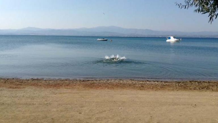 ΚΑΙΡΟΣ 7/9/2017: Αίθριος καιρός με μικρή άνοδο της θερμοκρασίας