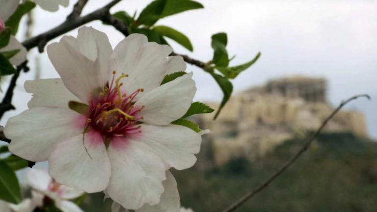 Πάσχα 2017: Ο καιρός από τον Σάκη Αρναούτογλου 