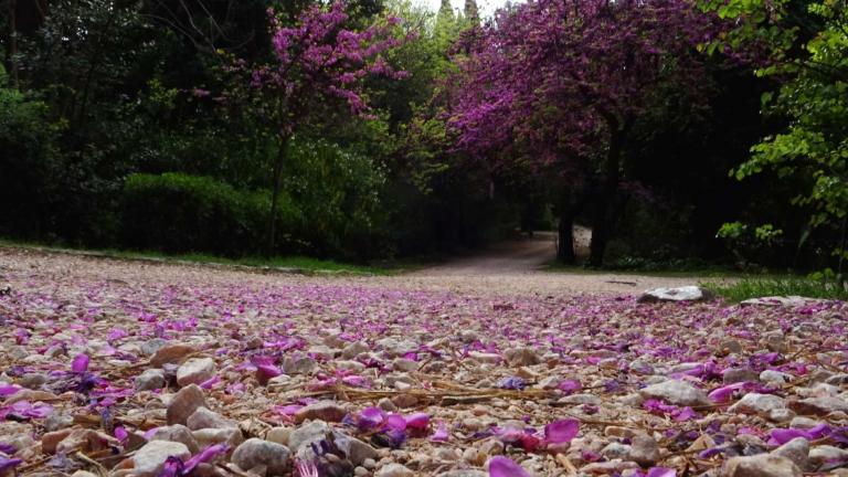 Πάσχα 2017: Πώς θα είναι ο καιρός 