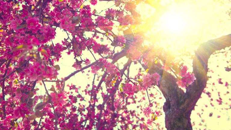 Καιρός Πρωτομαγιά: Η πρόβλεψη του Γιάννη Καλλιάνου 