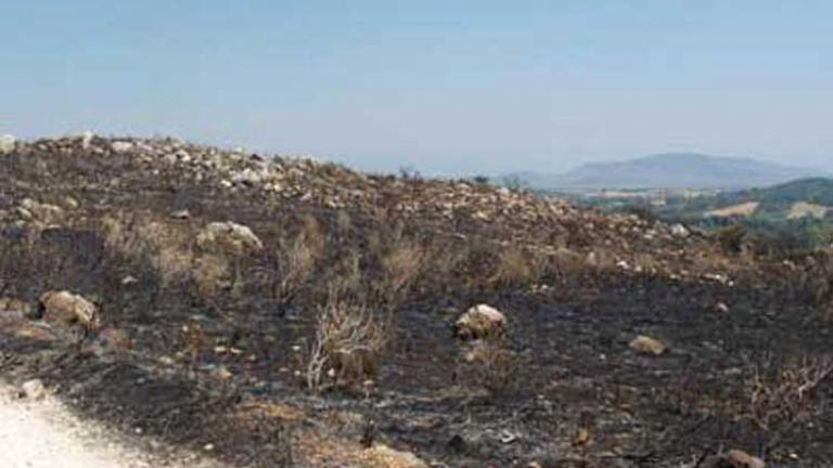 Ξεκίνησε εδώ και λίγες ώρες η διαδικασία της «επόμενης μέρας» για τις μεγάλες πυρκαγιές, κυρίως της βορειοανατολικής Αττικής και της Ζακύνθου