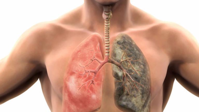 Σε πόσο καιρό θα καθαρίσουν οι πνεύμονες, αν κόψετε σήμερα το κάπνισμα