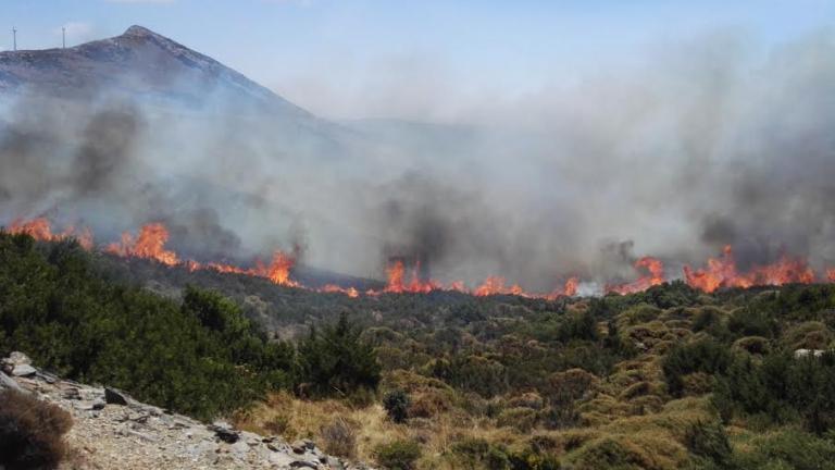 Ώρες αγωνίας από τη φωτιά στην Κάρυστο – Κάηκαν σπίτι και περιφράξεις – Εκκενώθηκε ο οικισμός Πόρτο Λάφια (ΦΩΤΟ-ΒΙΝΤΕΟ)