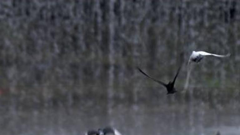 Χαλάει ο καιρός - Βροχές, ισχυρές καταιγίδες, και πτώση της θερμοκρασίας (ΧΑΡΤΕΣ)