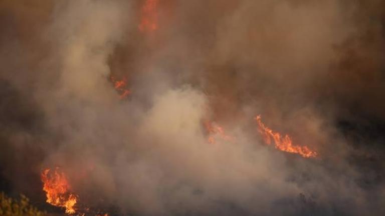 Πύρινη κόλαση στα Κύθηρα: Εκκενώθηκε κι άλλο χωριό, χωρίς ρεύμα το νησί- Ολονύχτια μάχη με τις φλόγες αναμένεται να δώσουν σήμερα οι άντρες της Πυροσβεστικής που επιχειρούν στα Κύθηρα με τους ανέμους να μη λένε να κοπάσουν -Δήμαρχος Κυθήρων: Η φωτιά προκλήθηκε από ένα τσιγάρο (ΦΩΤΟ-ΒΙΝΤΕΟ)