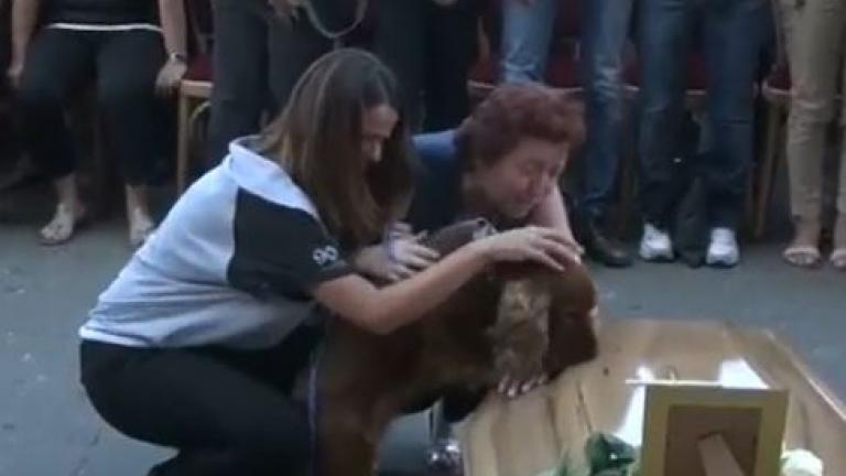 Ιταλία: Σκύλος αρνείται να αφήσει το φέρετρο του αφεντικού του που σκοτώθηκε στον σεισμό (ΦΩΤΟ)