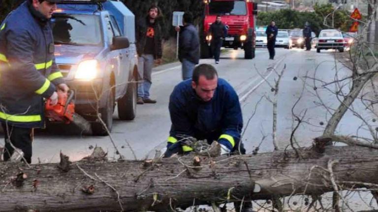 Θυελλώδεις άνεμοι πληττούν την Αττική-105 κλήσεις για κοπές δέντρων