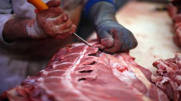 Τεράστιο διατροφικό σκάνδαλο: Φορμόλη σε κοτόπουλα και κρέας πιθήκου 
