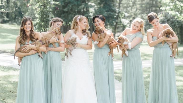 Παράνυφες σε γάμο αντί για λουλούδια κρατούσαν σκυλάκια!