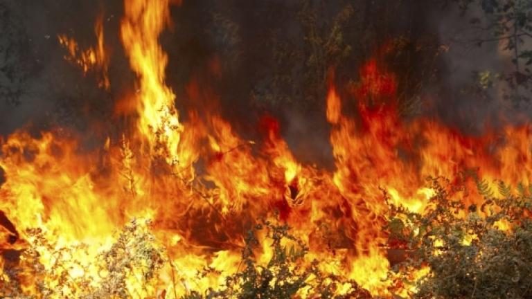 Alert-Μεγάλη φωτιά στα Φαλάσαρνα