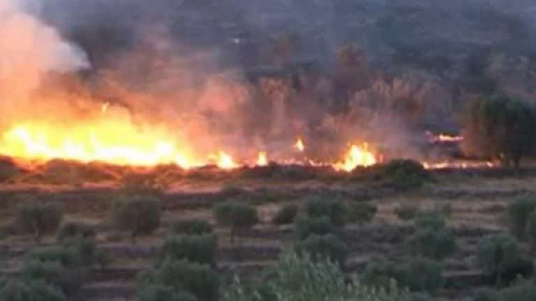 Πυρκαγιά σε εξέλιξη στην Μόρια Λέσβου