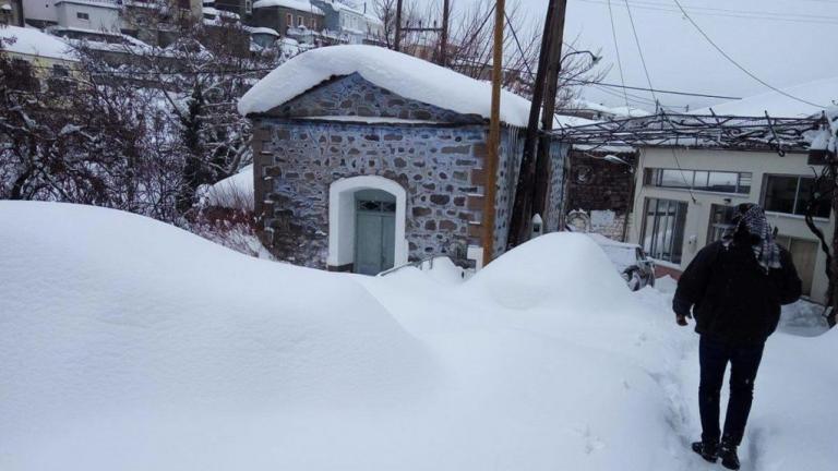 Έκκληση κτηνοτρόφων στη Λέσβο για βοήθεια, ώστε να φτάσουν στα κοπάδια τους