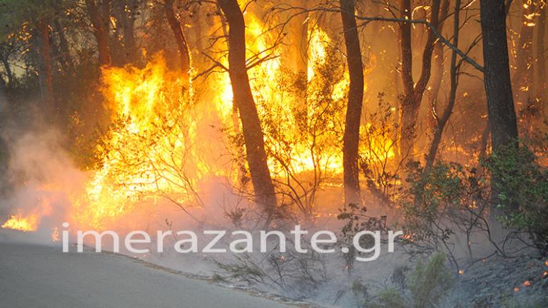 Εμπρηστές απανθρακώνουν την Ζάκυνθο-Μάχη για τα σπίτια στις Μαριές