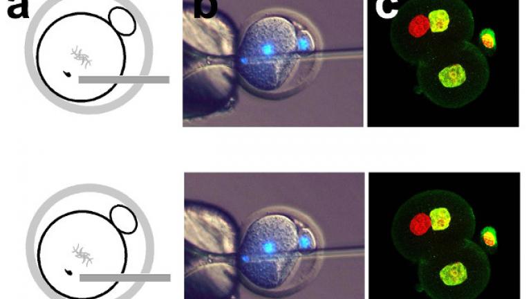 Επιστημονικά πειράματα που σοκάρουν-Ανατρέπουν "σοφίες" αιώνων