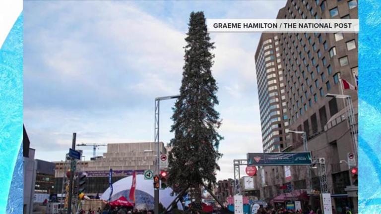 Χριστούγεννα 2016: Το δέντρο που έγινε viral λόγω...ασχήμιας!
