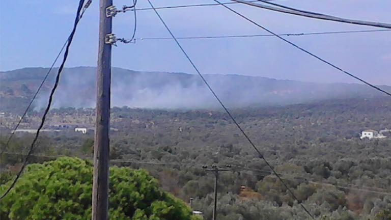  Επεισόδια στη Μόρια, κατόπιν φήμης για μαζική επαναπροώθηση στην Τουρκία