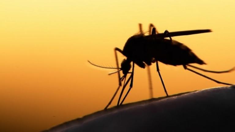 ΙΣΑ σε υπουργείο Υγείας: Ποιά έκτακτα μέτρα πήρατε για την ελονοσία;