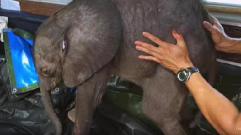 Ο Μόγιο αγαπά τoν σωτήρα του ως μπαμπά