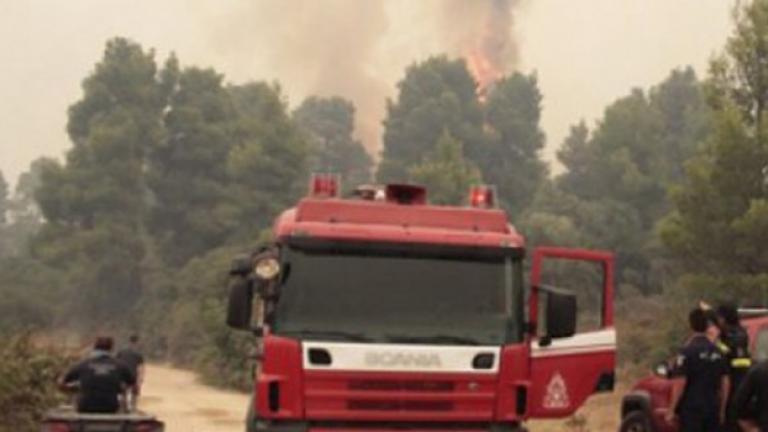 Νέα εστία φωτιάς στα Βασιλικά