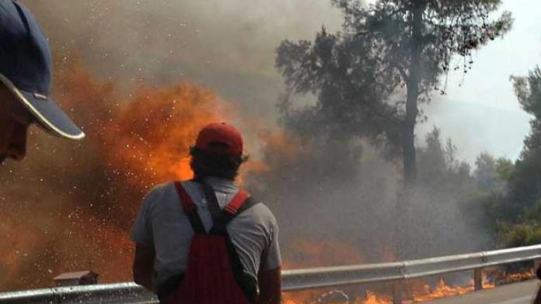 Εντοπίστηκε αυτοσχέδιος εμπρηστικός μηχανισμός στην Ηλεία