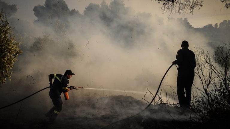 Οριοθετήθηκε η πυρκαγιά στην Άμπελο Αχαΐας