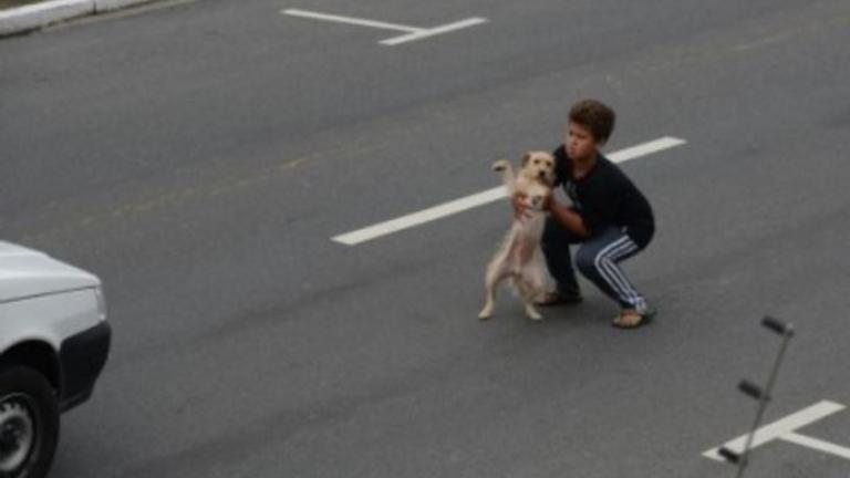 Εντεκάχρονος θυσίασε τη ζωή του για ένα σκύλο! (ΦΩΤΟ)