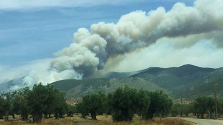 Πήγε να καπνίσει τα μελίσσια και έβαλε φωτιά στα Μέγαρα-Παραμένει σε εξέλιξη η πυρκαγιά