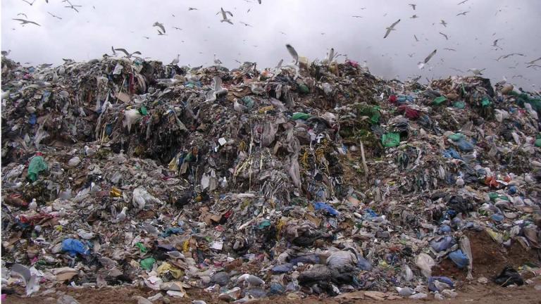 Σοκ-Περίπου 88 εκ. τόνοι τροφίμων καταλήγουν ετησίως στα σκουπίδια