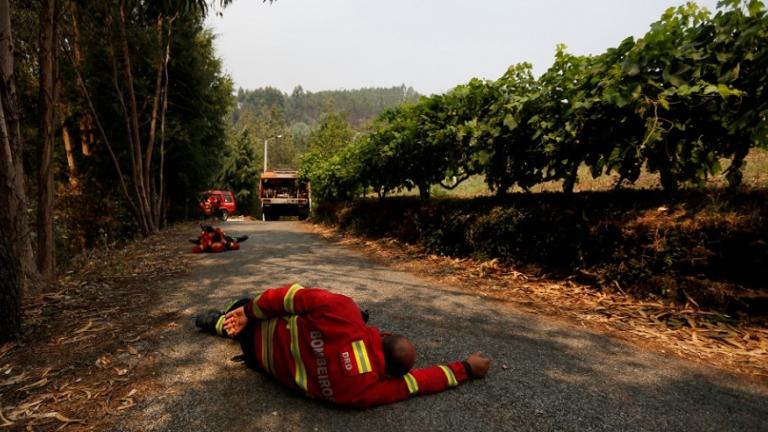 Σχεδόν ένα εκατομμύριο στρέμματα έγιναν στάχτη στην Πορτογαλία 