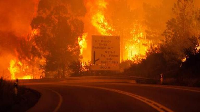Τραγωδία στην Πορτογαλία που πλήττεται από κύμα καύσωνα-Δασική πυρκαγιά κόστισε την ζωή σε τουλάχιστον 24 άτομα-Μαίνονται οι φλόγες (ΦΩΤΟ)