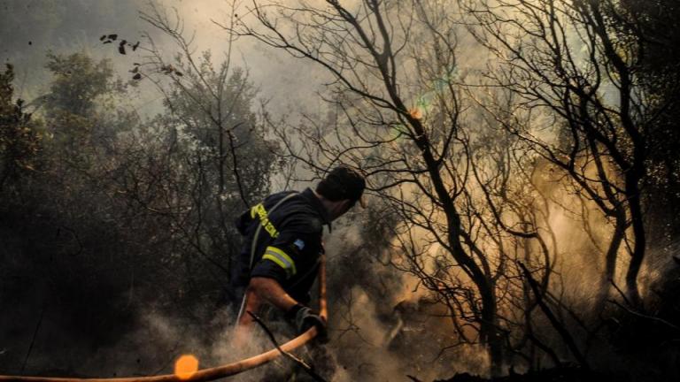 Δύο κτηνοτρόφοι ήταν οι εμπρηστές στο Γεράκι Ηλείας