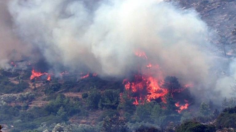 Πύρινα μέτωπα σε Αίγες, Αμπελικό, Κουτσοχέρι και Κυπάρισσο