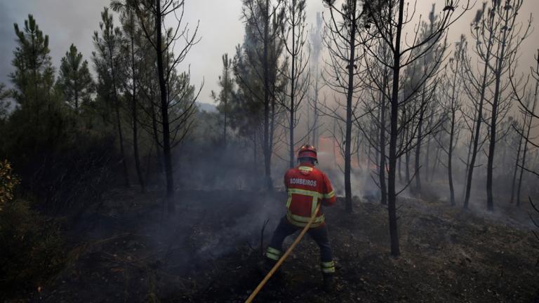 Υπό έλεγχο οι πυρκαγιές σε Μεσσηνία και Αιτολωακαρνανία 