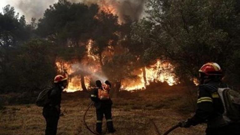 Σε εξέλιξη φωτιά στην Άνω Ποταμιά Ακράτας