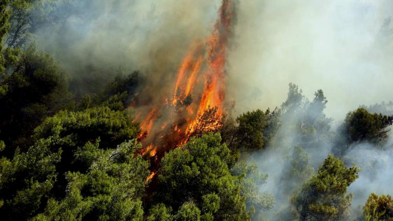 Πυρκαγιά στην περιοχή Φαράκλα της Βόρειας Εύβοιας
