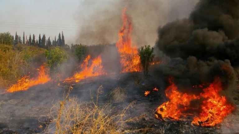 Πυρκαγιά τώρα στην περιοχή Καστρί στη Νότια Εύβοια!