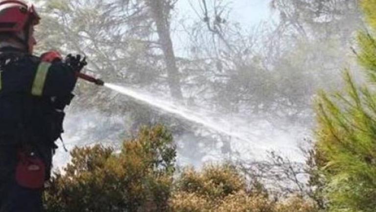 Υπό μερικό έλεγχο η πυρκαγιά στην περιοχή Καστρί, στη Νότια Εύβοια