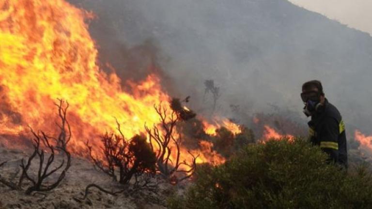Μεγάλη πυρκαγιά στην κορυφογραμμή του Καλλιδρόμου στη Φθιώτιδα 