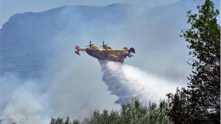 Υπό έλεγχο η πυρκαγιά στον Βαρνάβα Αττικής	