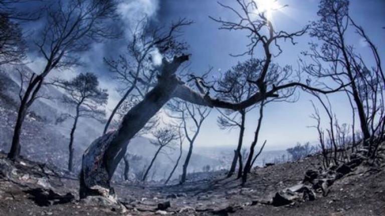 Δύο φωτιές υπό έλεγχο στην Πελοπόννησο 