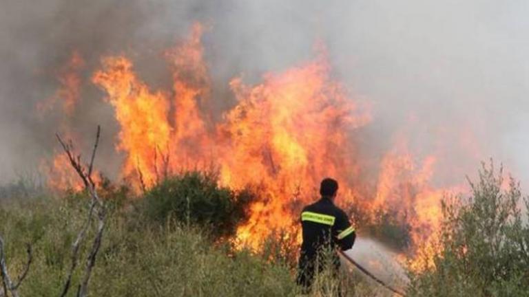 Πυρκαγιά στο Βέρμιο 