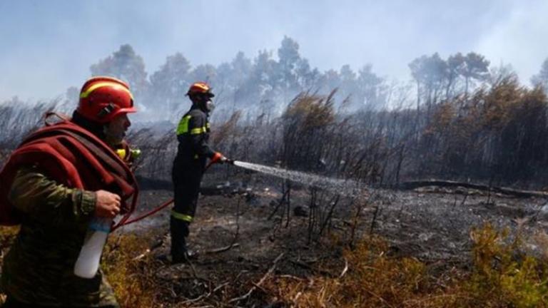 Σε ύφεση η πυρκαγιά στην Πιερία-Έσβησε η φωτιά στην Αιγάνη 